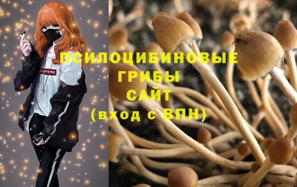 а пвп мука Алзамай