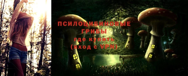 а пвп мука Алзамай