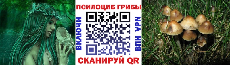 купить  цена  Троицк  Галлюциногенные грибы мухоморы 